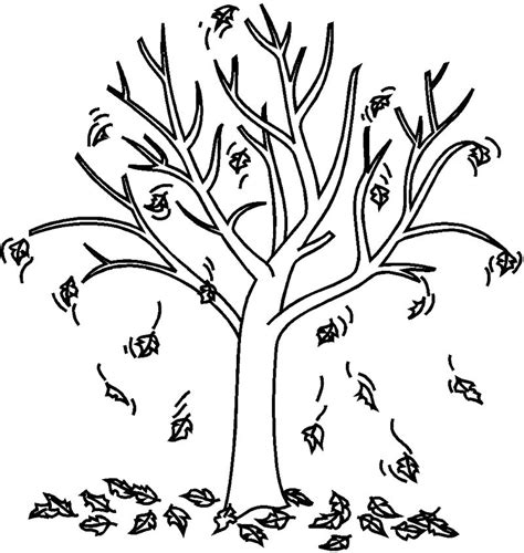 autumn fall tree coloring page tree pinterest fall trees