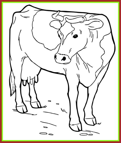farm animal coloring pages  toddlers  getcoloringscom