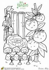 Jardinage Potager Fruits Hugolescargot Moestuin Colorier Coloriages Legumes Tomate Kleurplaten Printemps Kleurplaat Maternelle Magique Fleur Visiter Choisir Automne Downloaden Uitprinten sketch template