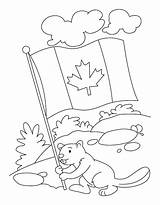 Canada Coloring Beaver Colouring Pages Canadian Flag Kids Happy Print Celebrating Color Sheets Drawing Printable Colour Holds Dessin Du Crafts sketch template