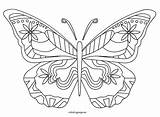 Coloring Butterfly Pages Cycle Printable Butterflies Life Morpho Monarch Wings Color Flowers Blue Template Kids Easy Outline Sheets Drawing Adults sketch template