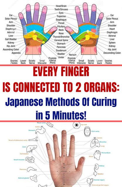Every Finger Is Connected To 2 Organs Japanese Methods Of Curing In 5