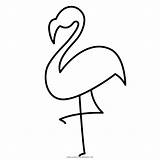 Flamenco Ausmalbild Fenicottero Colorare Flamingos Beak Favpng Ultracoloringpages sketch template