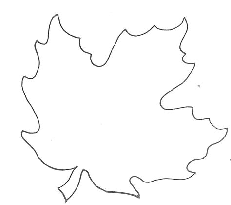 maple leaf template clipart