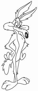 Runner Road Coloring Pages Coyote Cartoon Wolf Looney Tunes Wile Cartoons Character Boek Kleuren Bladzijden Kleurplaten Tekeningen Sheets Disney Template sketch template