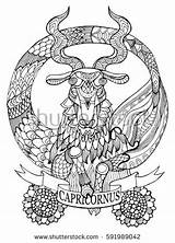 Capricorn Coloring Astrology Zodiac Tattoo Designlooter Stencil Lines Sign Illustration Vector Book sketch template