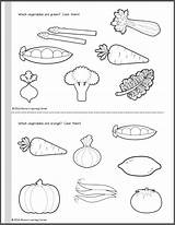 Coloring Pages Worksheets Vegetable Vegetables Kindergarten Preschool Fruits Kids Printable Tracing Grade Lkg School Color Pdf Activities Easy Print Worksheet sketch template