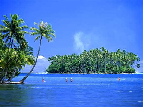 beautiful tropical island    wallpaper