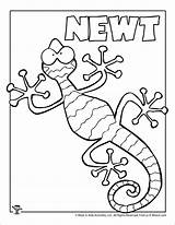 Newt Coloring Pages Letter Kids Printable Worksheets Template Crafts Coloringbay Printables sketch template