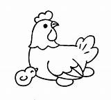 Chicken Coloring Egg Pages Lay Netart sketch template