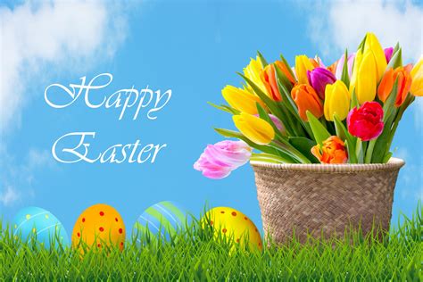 easter eggs flowers background  stock photo public domain pictures
