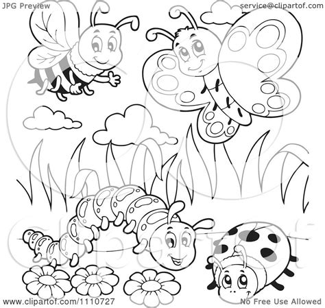 clipart outlined bee butterfly caterpillar  ladybug royalty