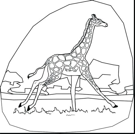cute baby giraffe coloring pages  getcoloringscom  printable