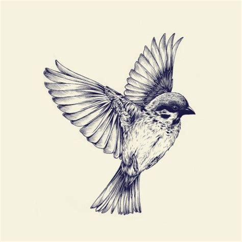 ideas  bird drawings  pinterest bird tree tree bird tattoo  bird sketch