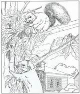 Coloring Kleurplaat Natuur Squirrel Eekhoorns Ums Rund Malvorlagen Huis Malvorlage Eekhoorn Rondom Ausmalen Dibujos Squirrels Volwassenen Kleurplatenenzo Erwachsene Brandmalerei Malbuch sketch template
