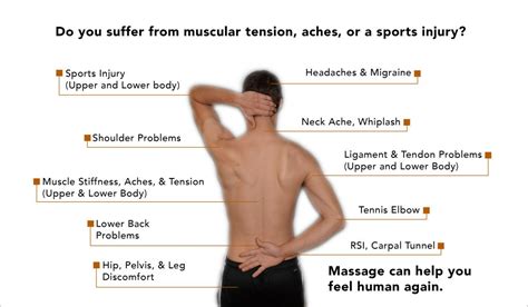 back muscles diagram for massage effective trigger point therapy for