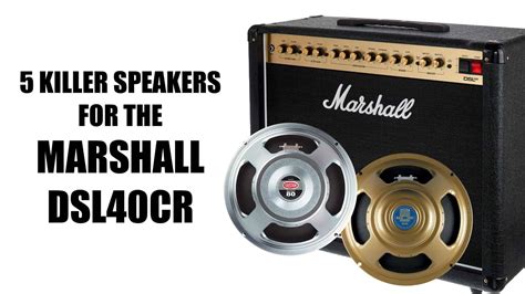 speakers   marshall dslcr amplifier speaker guide