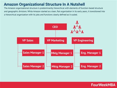 structure organisationnelle damazon en bref fourweekmba