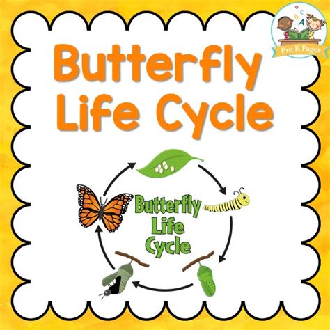 butterfly life cycle pre  pages