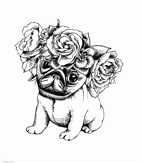 view coloring pages  adults animals pictures