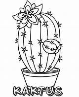 Kaktus Kolorowanki Kolorowanka Doniczce Kwiaty Druku Kwiat Topcoloringpages Wydruku Tulipan Lobivia Coloringfolder Kolorowankę Wydrukuj sketch template