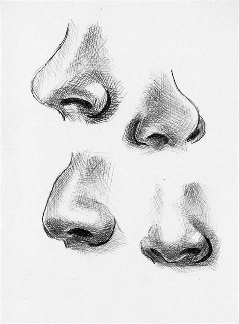draw  realistic human nose