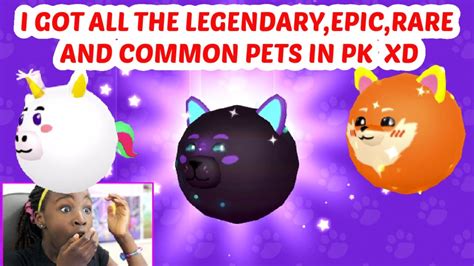 legendary epic rare  common pets  pk xd youtube