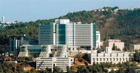 hadassah medical center medical tourism  mediglobus
