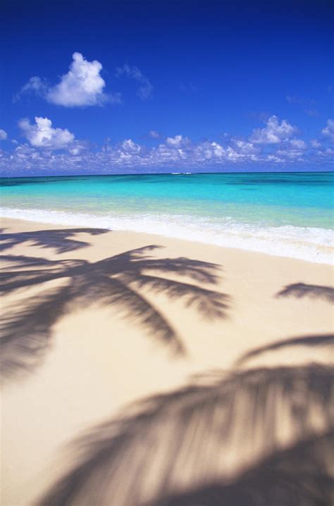 tropical beach scene  dana edmunds printscapes