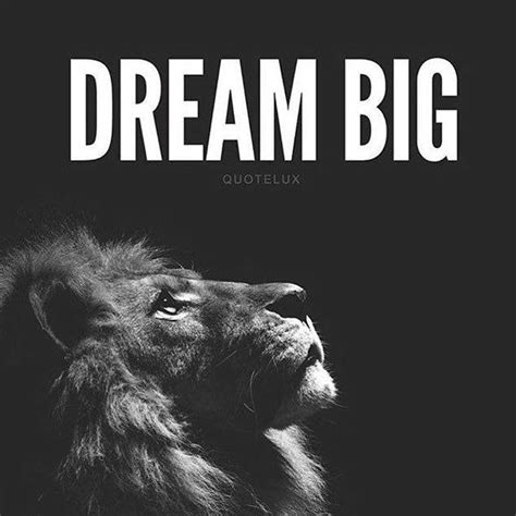 dream big pictures   images  facebook tumblr pinterest