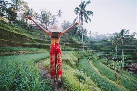 5 Most Picturesque Rice Terraces To See In Bali