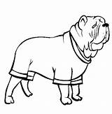 Coloring Mastiff Dog Pug Neapolitan Cup Designlooter Color Colorluna 612px 46kb sketch template