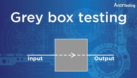 grey box testing techniques advantages disadvantages