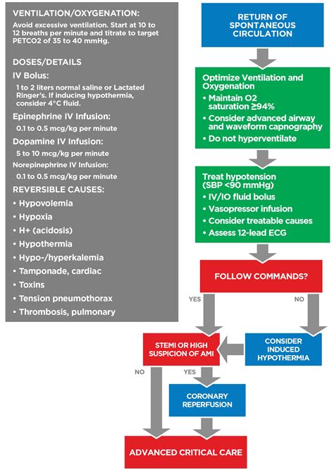 Adult Immediate Post Cardiac Arrest Care Algorithm Acls