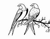 Birds Pair Coloring Coloringcrew sketch template