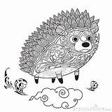 Hedgehog Coloring Antistress sketch template