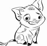 Moana Coloring Pua Pages Pig Hei Cute Maui Face Baby Clipartmag Coloringpagesonly sketch template