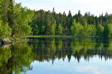 bakgrundsbilder landskap skog sjoe vatten natur reflexion graes himmel lugna kvaell