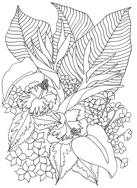tropical flowers coloring pages adult colouringflowers pinterest