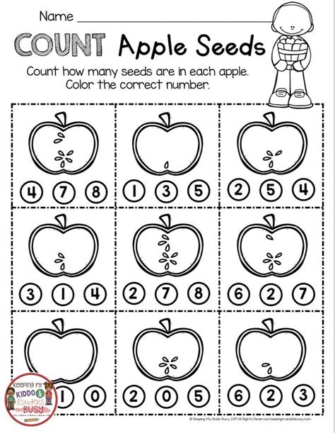 printable apple worksheets  preschool  kindergarten artofit