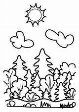 Forest Coloring Pages Drawing Color Choose Board Girl sketch template