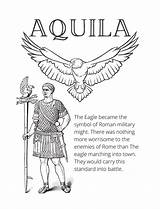 Latin Aquila sketch template