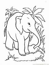 Coloring Elephant Republican Getdrawings sketch template