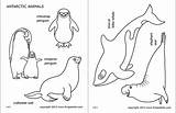 Animals Antarctic Printable Polar Coloring Pages Arctic Templates Firstpalette Animal Printables Artic Seal Color sketch template