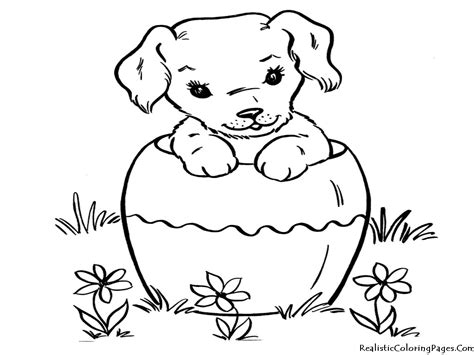 real dog coloring pages  getcoloringscom  printable colorings