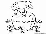 Coloring Pages Dog Real Puppy Getcolorings Cute sketch template