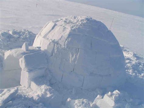 gallery  real inuit igloo