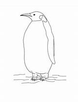 Coloring Penguin Emperor sketch template