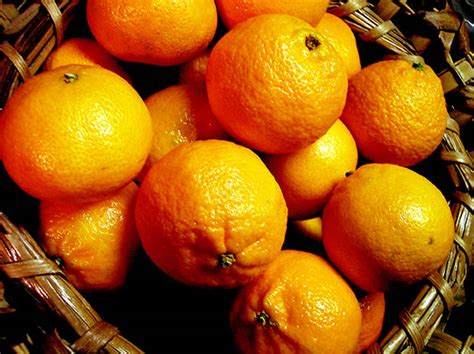 arboles frutales mandarino