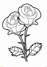 Rose Pages Coloring Getcolorings sketch template